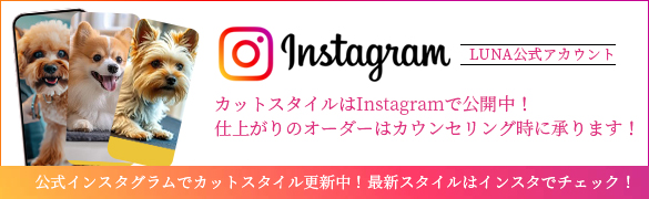 インスタグラム