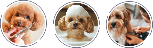 コンセプトイメージ