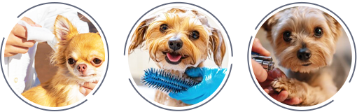 オプション・セット料金