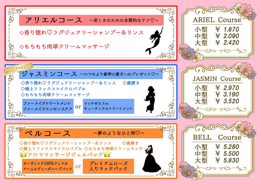 アリエルコース