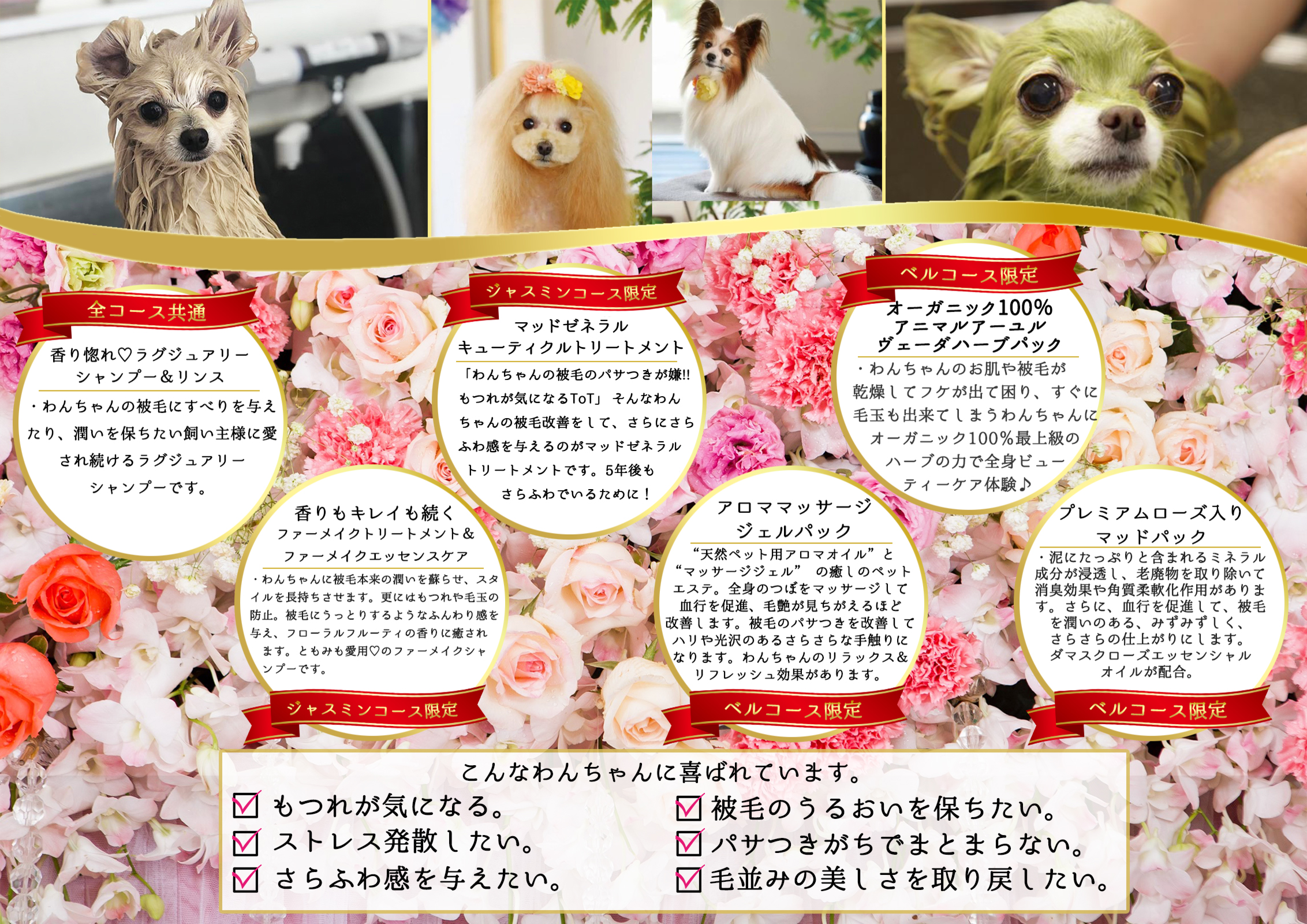 アリエルコース