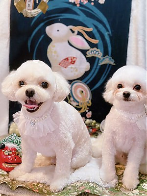 こたろう&しんたろう