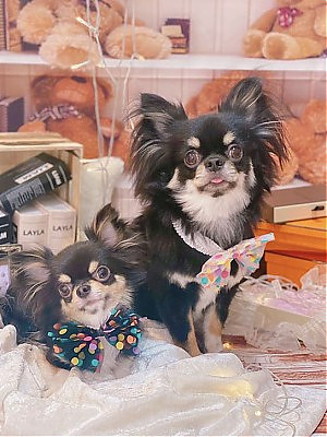 まつごろう&ゆき