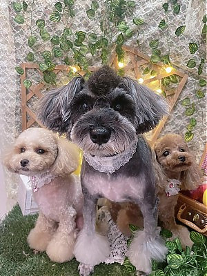 とろろ&ぱちょ&ぽた